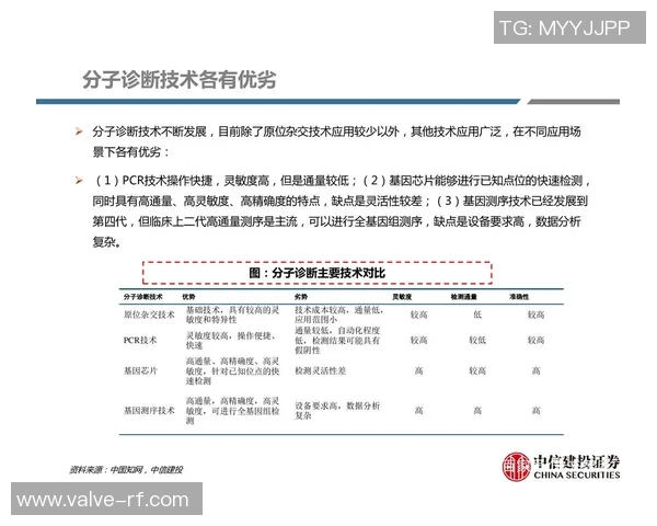 杭州篮球队灵活性分析：战术调整与球员适应能力的深度探讨
