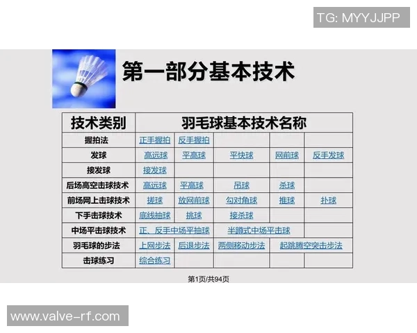 武汉羽毛球队与杭州羽毛球队赛后战术分析与总结探讨